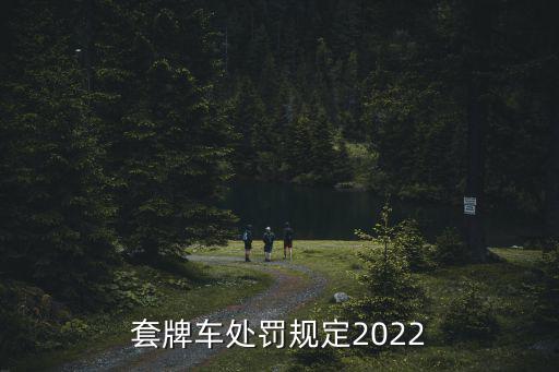 套牌車，套牌車的手續是真的還是假的