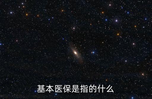 基本醫(yī)保是指的什么
