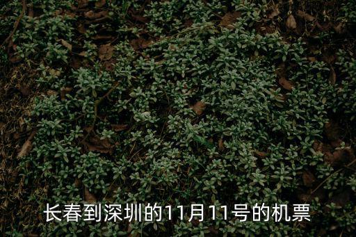 長春到深圳的11月11號的機票