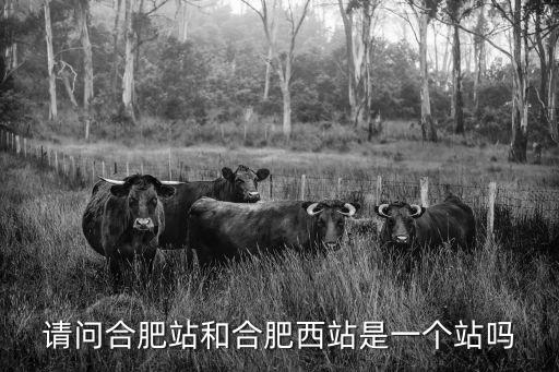 請問合肥站和合肥西站是一個站嗎