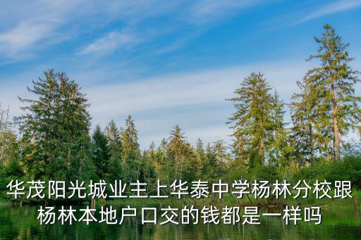 華茂陽光城業主上華泰中學楊林分校跟楊林本地戶口交的錢都是一樣嗎