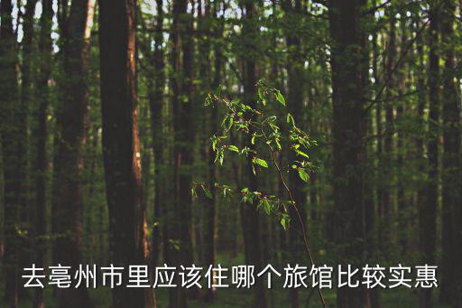 去亳州市里應該住哪個旅館比較實惠
