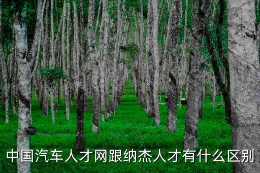 中國汽車人才網跟納杰人才有什么區別