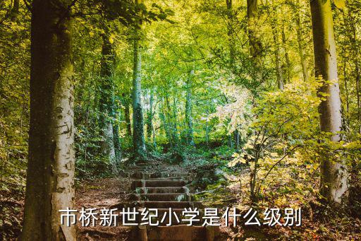 世紀小學，世紀小學的校風真的像傳說中的那么令人吃驚嗎