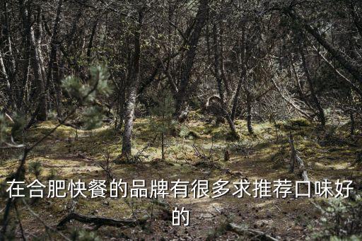 在合肥快餐的品牌有很多求推薦口味好的