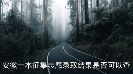 安徽一本征集志愿錄取結果是否可以查