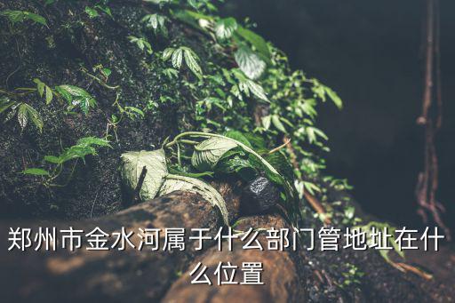 金水河鎮，鄭州市金水河屬于什么部門管地址在什么位置