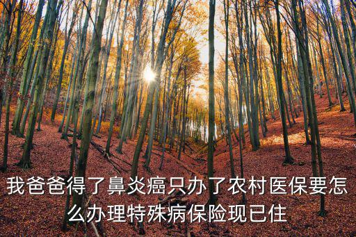 特病醫(yī)保怎么辦理流程，特病如何辦理須要些什么時候材料程序是怎么樣