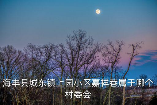 海豐縣城東鎮(zhèn)上園小區(qū)嘉祥巷屬于哪個村委會