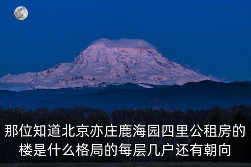 那位知道北京亦莊鹿海園四里公租房的樓是什么格局的每層幾戶還有朝向