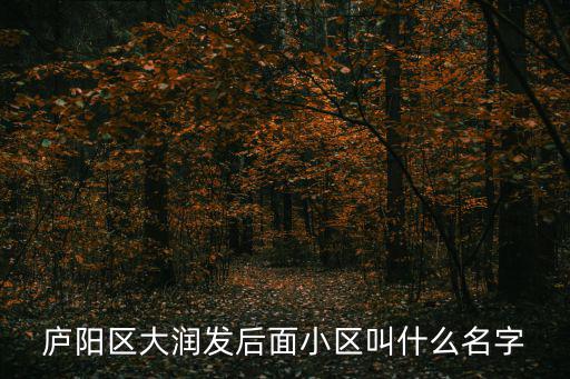 廬陽區大潤發后面小區叫什么名字