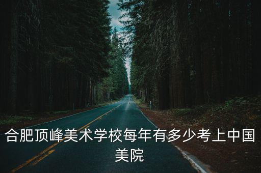 合肥頂峰美術(shù)學(xué)校每年有多少考上中國美院
