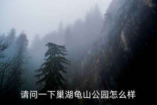 請問一下巢湖龜山公園怎么樣