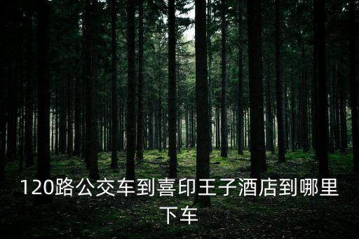 120路公交車到喜印王子酒店到哪里下車