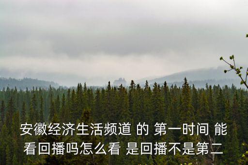 安徽經濟生活頻道 的 第一時間 能看回播嗎怎么看 是回播不是第二