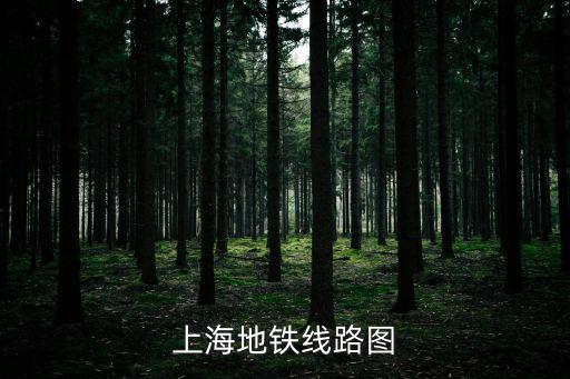 上海地鐵線路圖