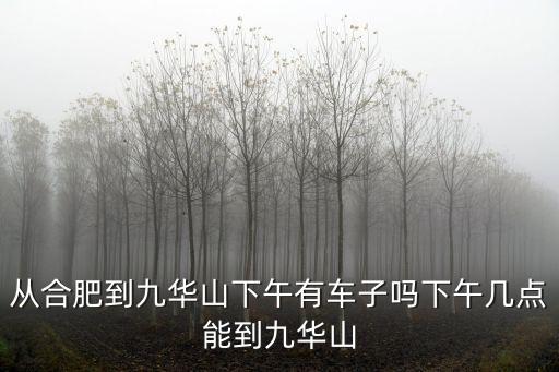 從合肥到九華山下午有車子嗎下午幾點能到九華山