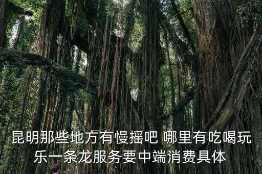 昆明那些地方有慢搖吧 哪里有吃喝玩樂一條龍服務(wù)要中端消費具體