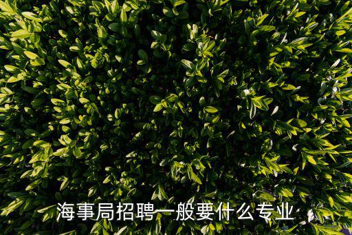 海事局招聘一般要什么專業