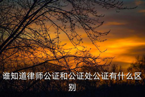 誰知道律師公證和公證處公證有什么區別