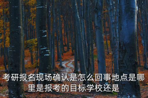 考研報名現場確認是怎么回事地點是哪里是報考的目標學校還是