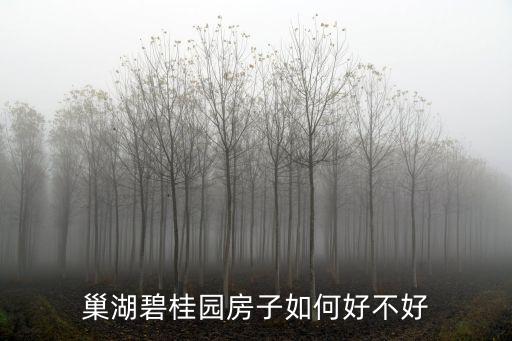 巢湖碧桂園房子如何好不好