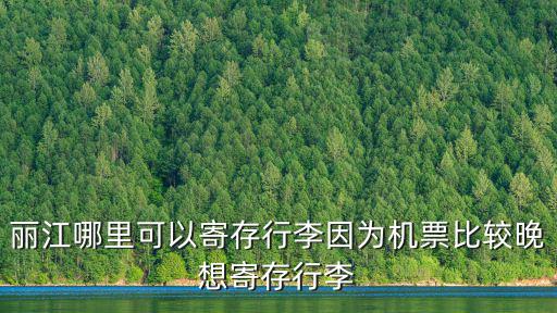 麗江哪里可以寄存行李因為機票比較晚想寄存行李