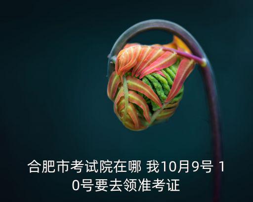 合肥市考試院在哪 我10月9號 10號要去領(lǐng)準(zhǔn)考證