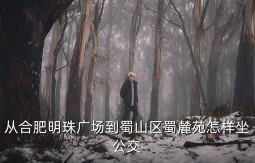 從合肥明珠廣場(chǎng)到蜀山區(qū)蜀麓苑怎樣坐公交