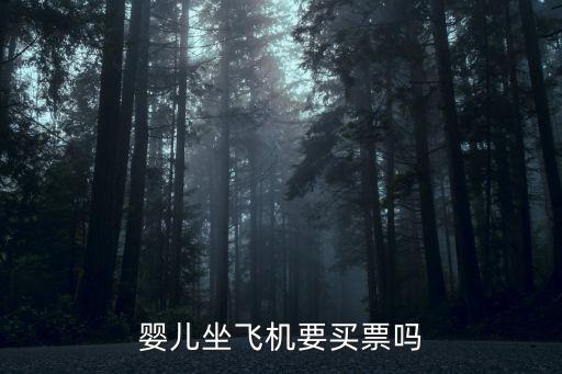 嬰兒坐飛機要買票嗎