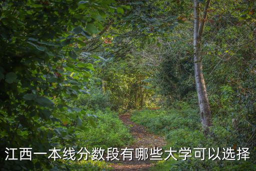 江西一本分?jǐn)?shù)線，江西一本線分?jǐn)?shù)段有哪些大學(xué)可以選擇