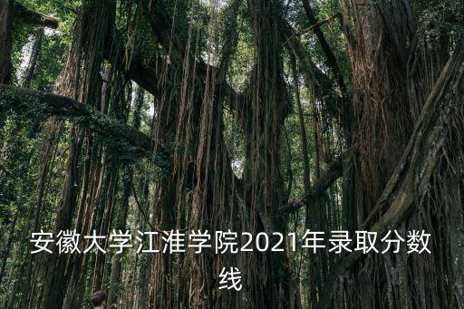 安大江淮學院，安徽大學江淮學院學費