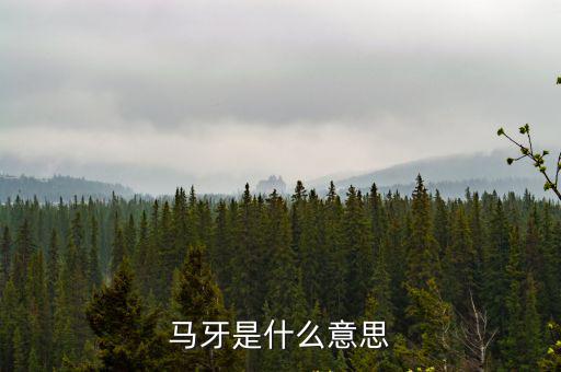 馬牙是什么意思