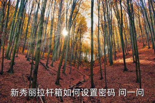 新秀麗拉桿箱如何設置密碼 問一問