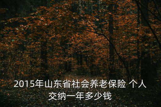 2015年山東省社會養老保險 個人交納一年多少錢