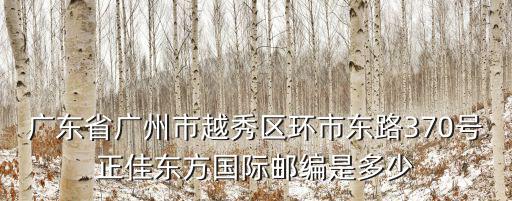 廣東省廣州市越秀區環市東路370號正佳東方國際郵編是多少