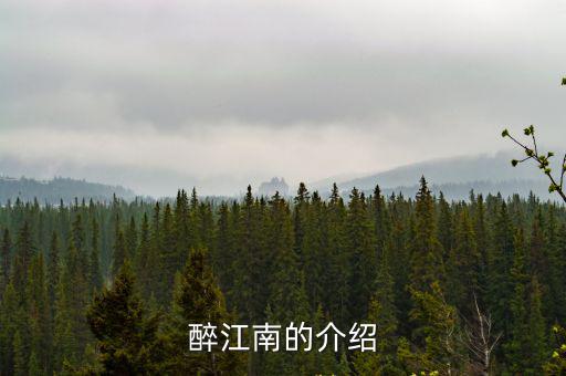 醉江南的介紹