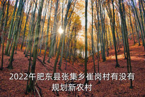 2022午肥東縣張集鄉(xiāng)崔崗村有沒有規(guī)劃新農(nóng)村