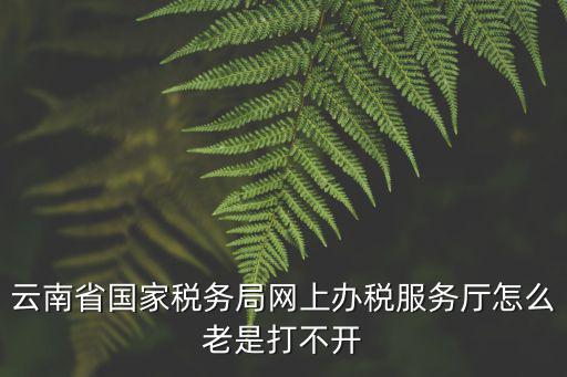 網(wǎng)上辦稅大廳，網(wǎng)上辦稅服務(wù)廳怎么下載