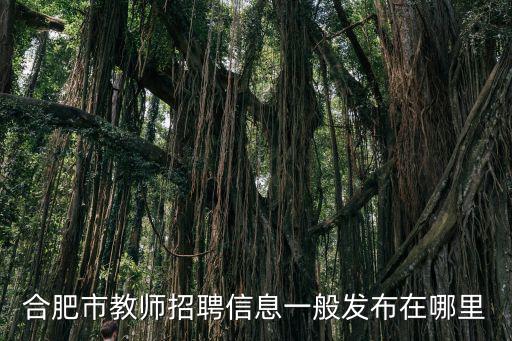 合肥市教師招聘信息一般發(fā)布在哪里