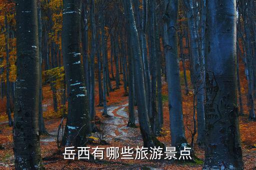 岳西景點，岳西有什么好玩的地方哪些景點必去