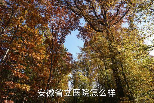 安徽省立，安徽省立兒童醫院哪個區的