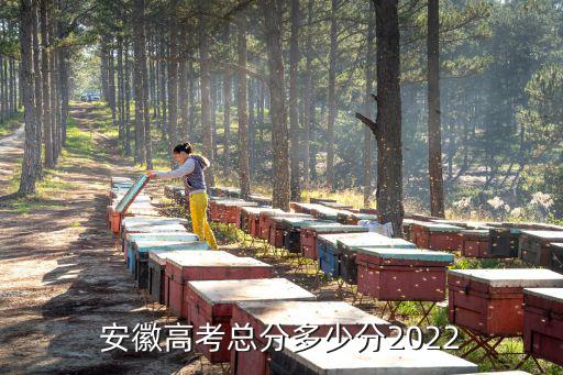 安徽高考總分多少分2022