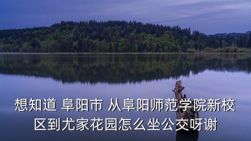 尤家花園，泗縣到穎上八里河旅游景區怎么走
