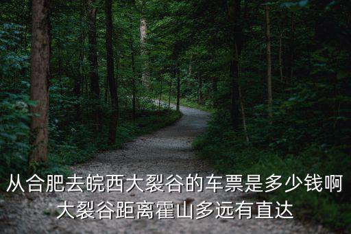 從合肥去皖西大裂谷的車票是多少錢啊大裂谷距離霍山多遠有直達