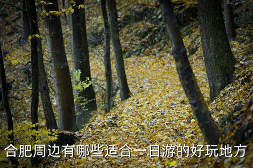 合肥周邊有哪些適合一日游的好玩地方