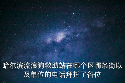 流浪狗救助站聯(lián)系方式，流浪狗救助站
