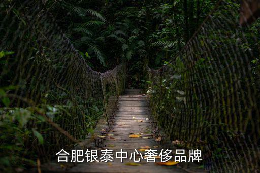 合肥銀泰中心奢侈品牌