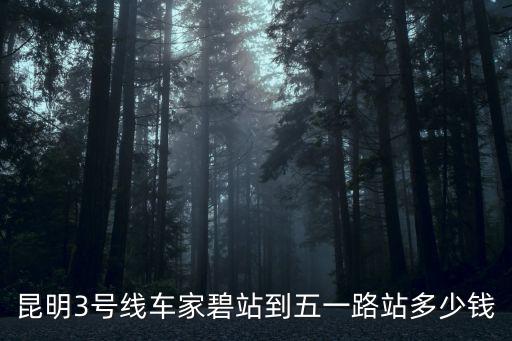 昆明3號線車家碧站到五一路站多少錢