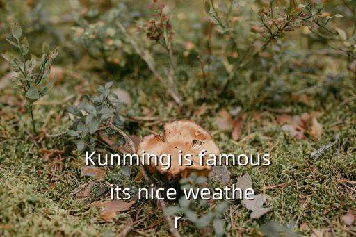 Kunming is famous  its nice weather
